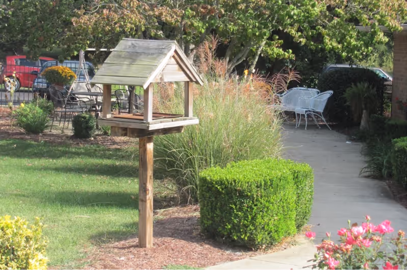 A landscaped outdoor area with a wooden bird feeder on a post in the foreground, trimmed bushes, ornamental grasses, and a concrete pathway leading to white metal chairs and a table under trees. Parked cars are visible in the background.