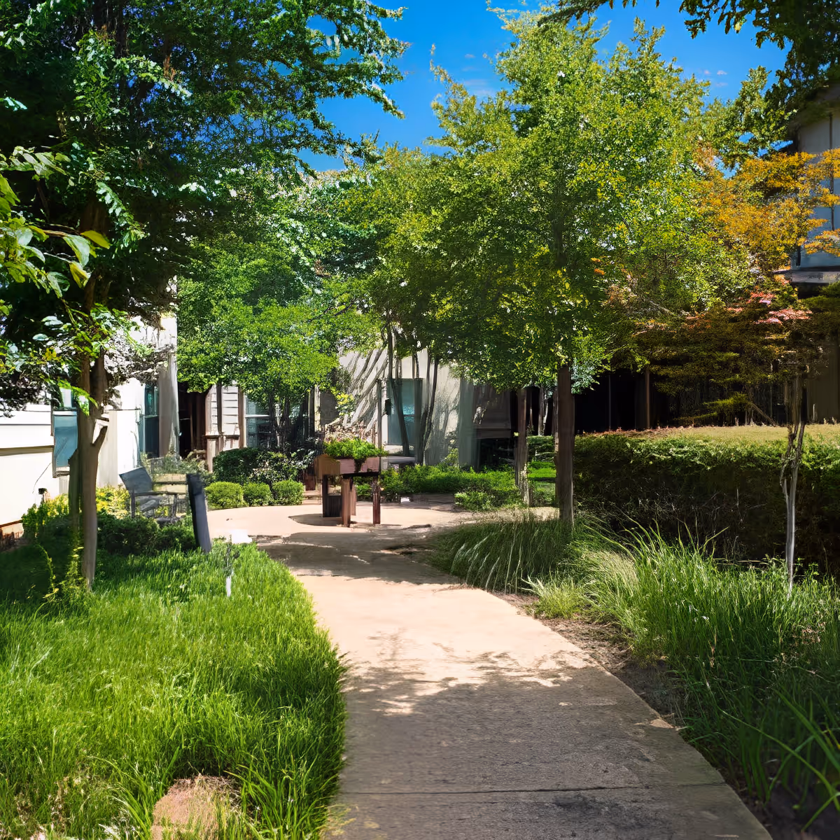 A sunny outdoor garden path lined with green grass, bushes, and trees leading to a building entrance with benches and planters along the walkway.