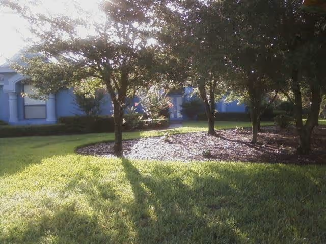 Sunlight filtering through trees casting shadows on a grassy lawn in front of a blue building with windows and columns.