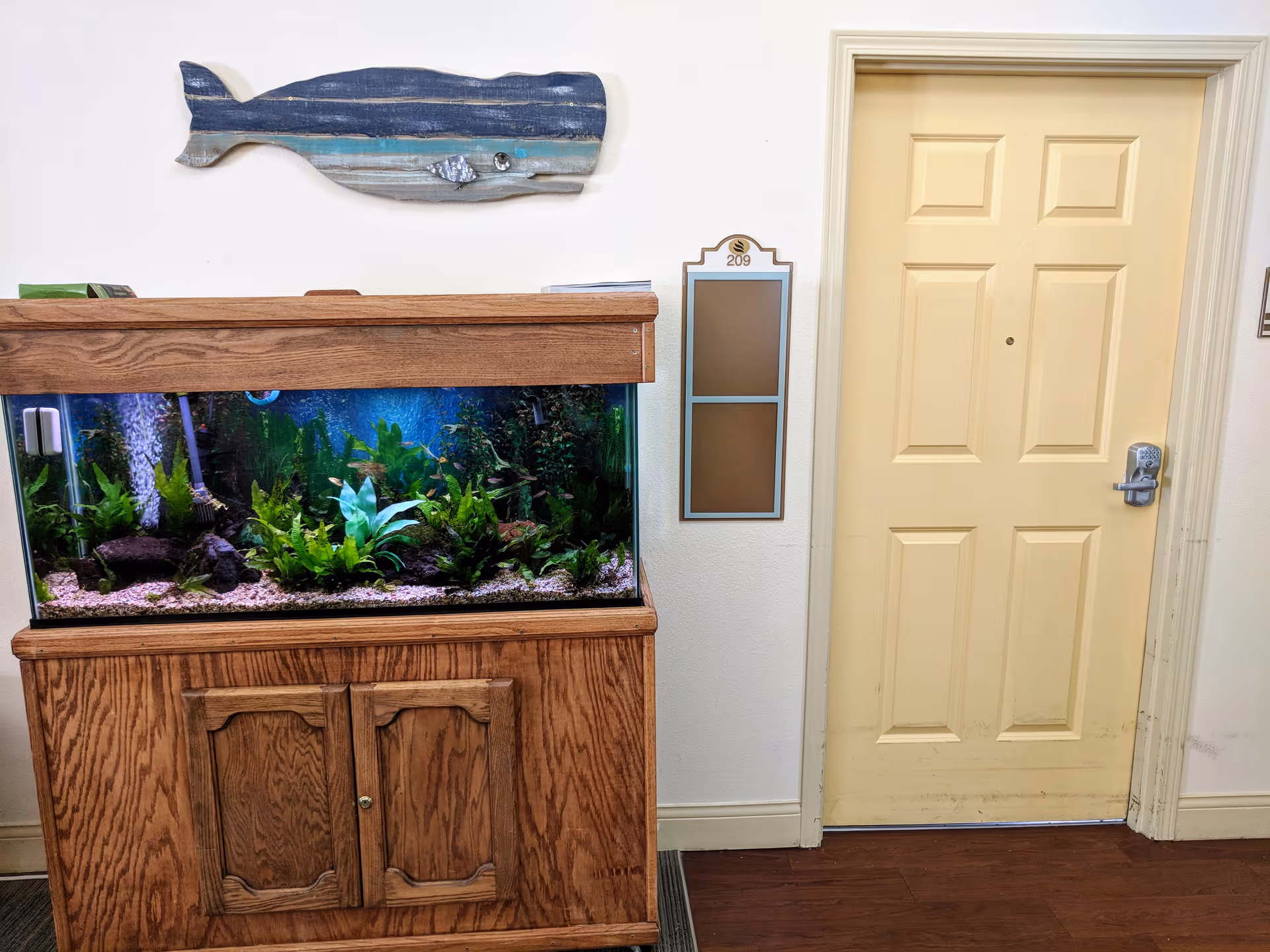 Aquarium on a wooden cabinet under a whale wall decoration next to a cream-colored apartment door and room number plaque.