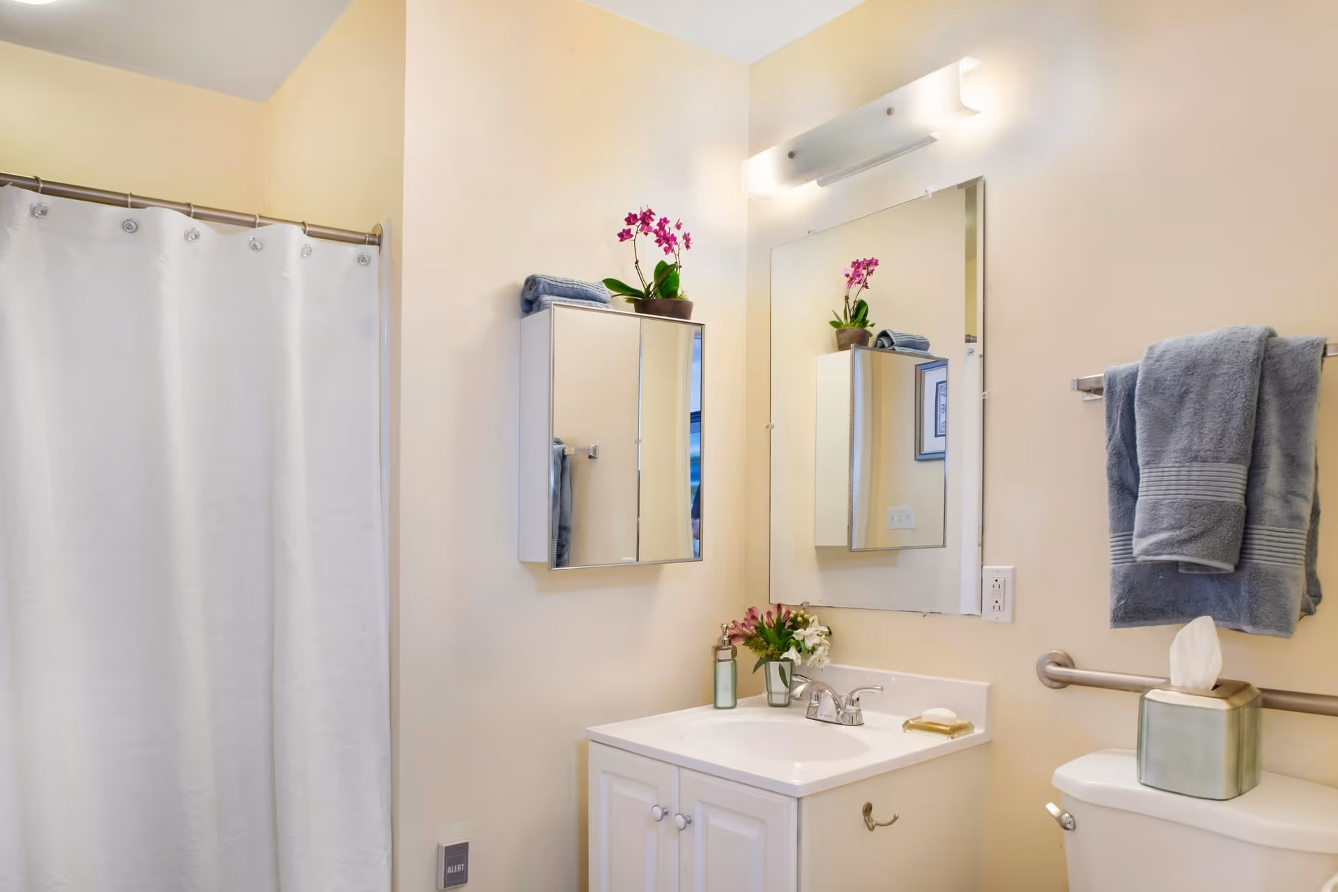 Clean, well-lit bathroom featuring a shower with a white curtain, a white vanity and sink with mirror and medicine cabinet, towels, and small plants.