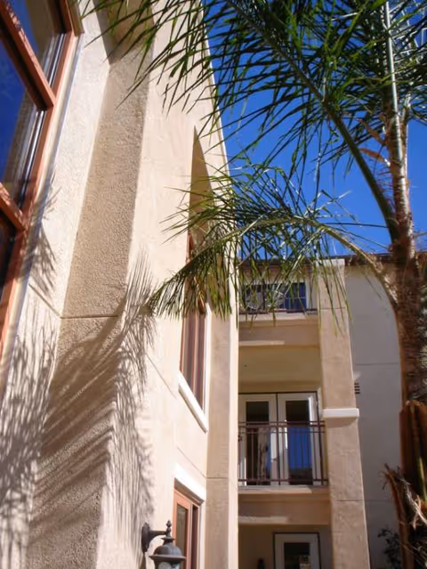 Exterior view of Woodland Village building with balconies and a palm tree against blue sky.