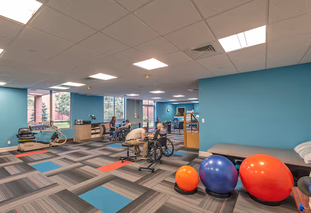 A spacious rehabilitation or physical therapy room with colorful patterned carpet and blue walls. The room contains exercise equipment including stationary bikes and large exercise balls. Several elderly individuals are engaged in physical therapy activities, some assisted by staff. Large windows allow natural light to enter the room.