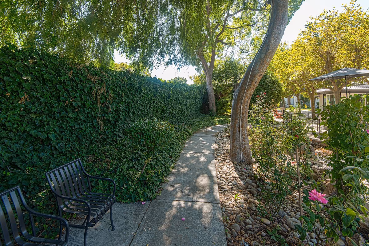A shaded outdoor pathway lined with lush green ivy on one side and a garden with trees, bushes, and blooming flowers on the other. There are two black metal benches along the pathway and a patio area with an umbrella and seating in the background.