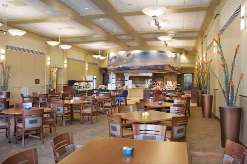 A spacious dining room with multiple wooden tables and chairs arranged neatly. The room has high ceilings with modern light fixtures and large decorative vases with tall plants along the walls. At the far end, there is a serving counter with a mural of a scenic landscape above it. The room is well-lit with natural and artificial light.