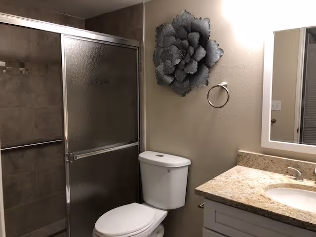 Bathroom with a glass sliding shower door, a white toilet, a granite countertop with a sink, a wall-mounted metal flower decoration, and a towel ring on the wall.