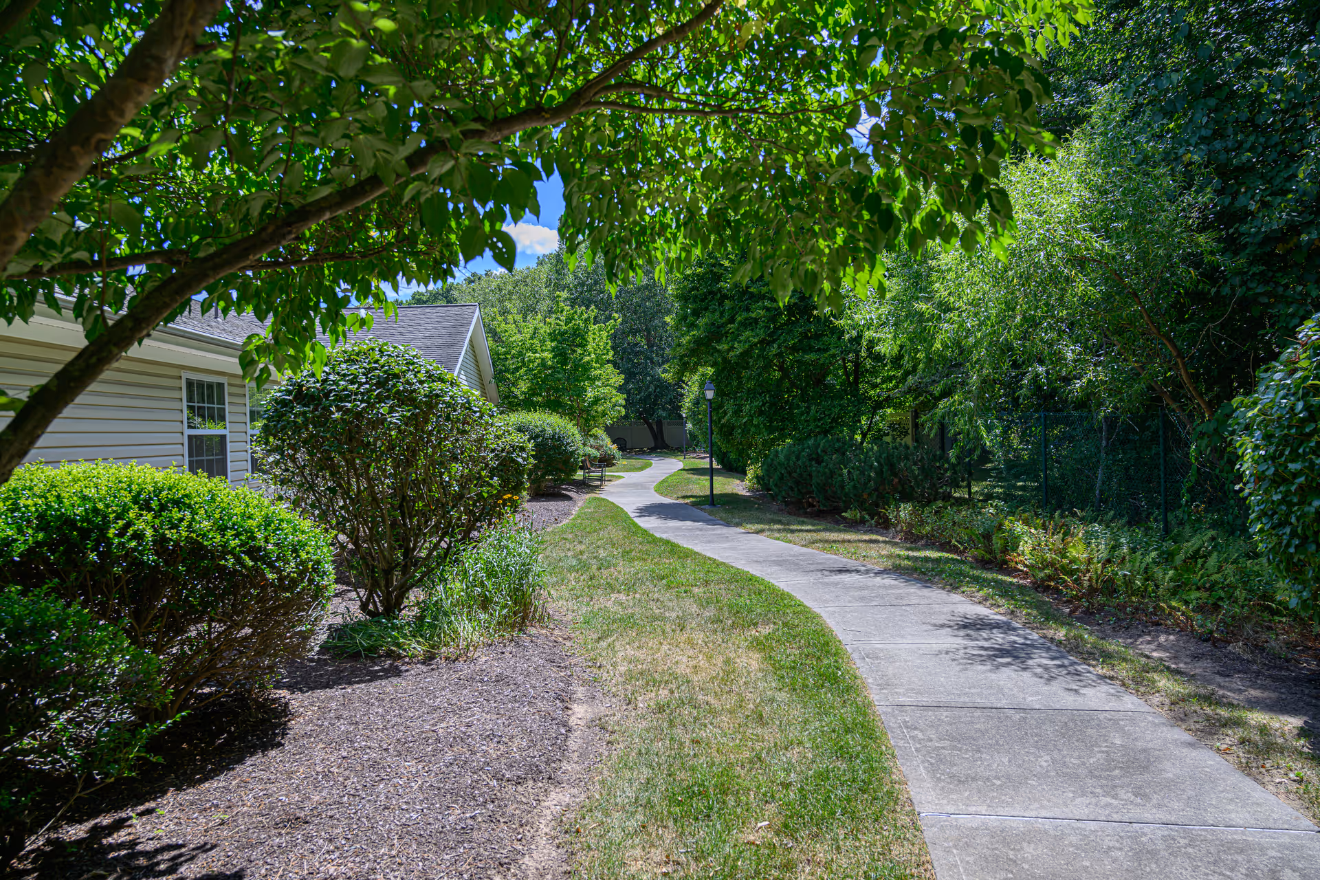 A winding concrete pathway surrounded by green bushes, trees, and grass on a sunny day. The side of a light-colored building with windows is visible on the left, and the path leads into a shaded, wooded area.