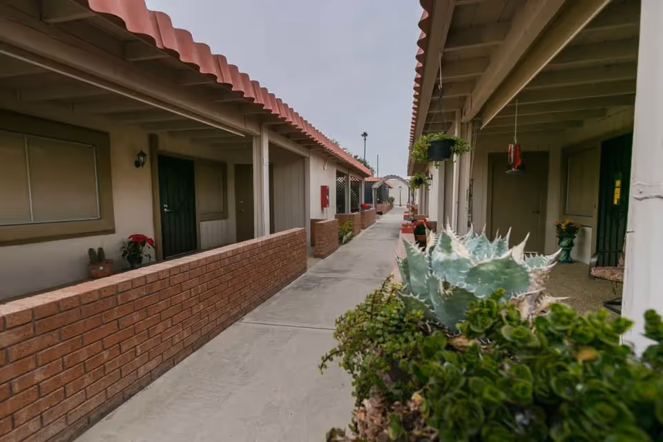 Outdoor walkway between two single-story buildings with red tile roofs and brick half-walls. Potted plants and hanging planters with greenery line the walkway under covered porches.