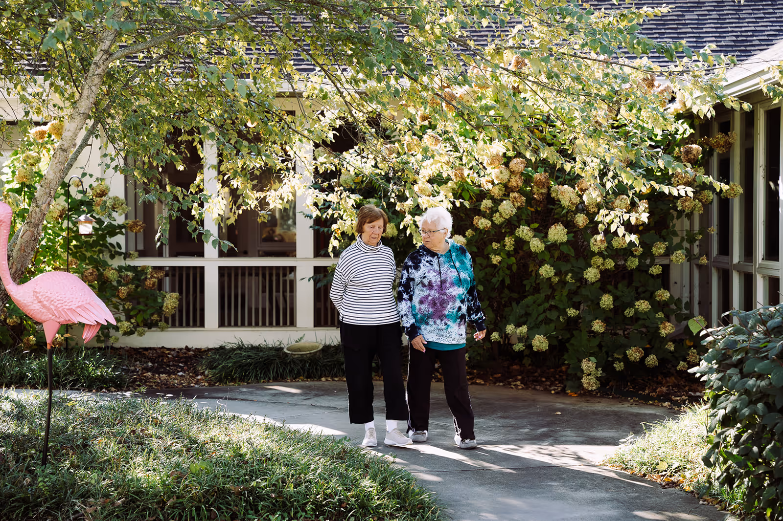 Two elderly women walking and talking on a paved pathway surrounded by greenery and flowering bushes outside a building. A pink flamingo garden decoration is visible on the left side near a tree.