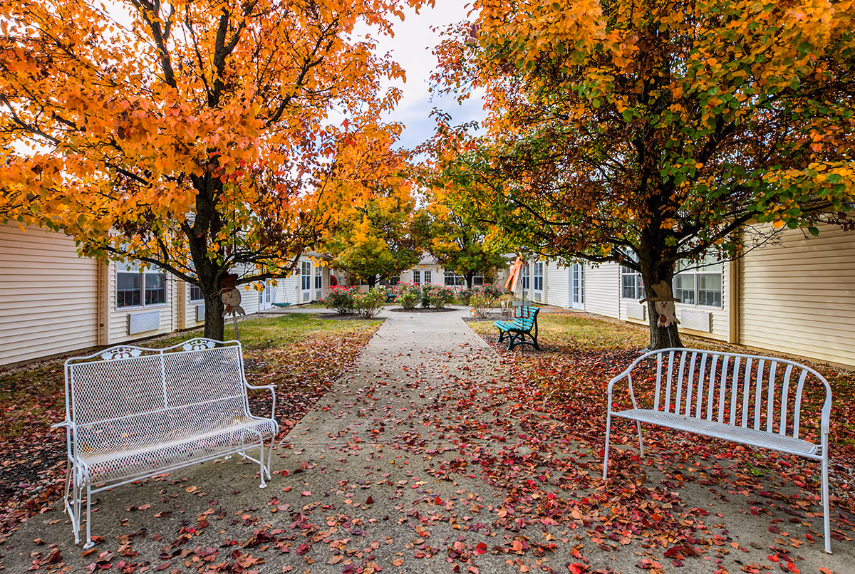 A courtyard walkway between single-story buildings lined with benches and trees showing orange and red autumn foliage and fallen leaves.