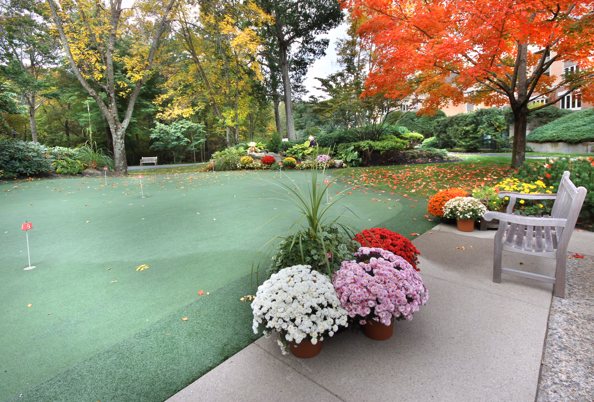 Outdoor putting green and landscaped courtyard with potted mums, wooden benches, and trees in autumn colors near a building.