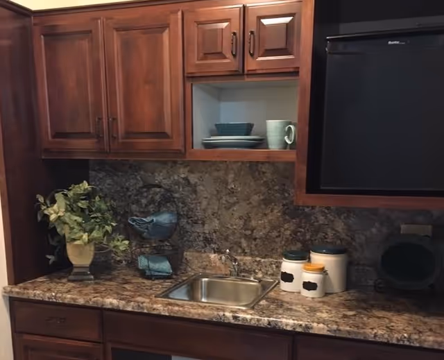 A kitchen area with dark wooden cabinets, a small stainless steel sink, a granite countertop and backsplash. On the counter are a potted plant, a decorative bird figurine, three labeled ceramic jars, and a small black refrigerator mounted above the counter. Some dishes and a mug are visible in an open cabinet.