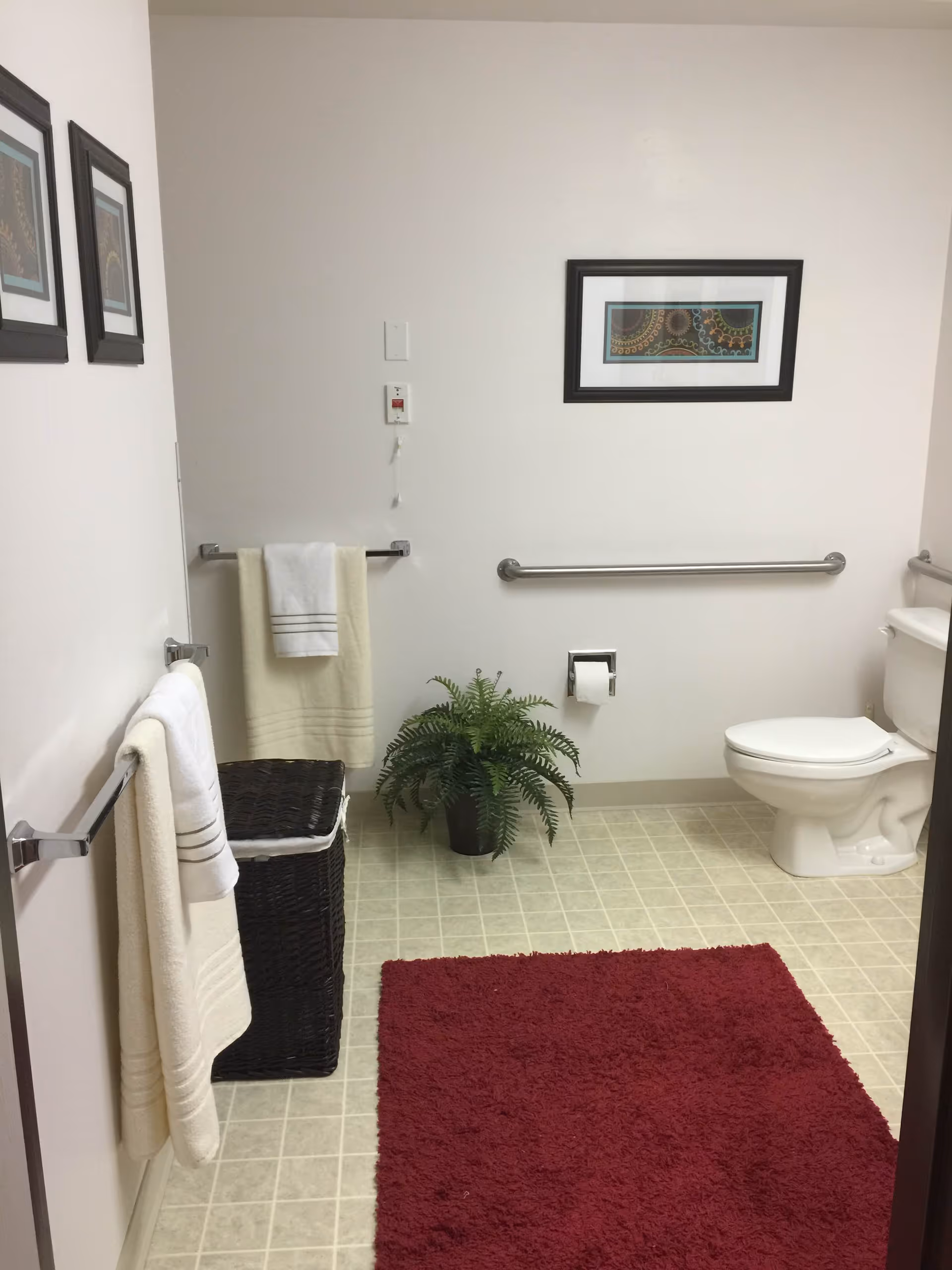 Accessible bathroom with a toilet, grab bars, towel racks, wicker hamper, potted plant and a red bath rug.
