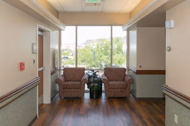 Two upholstered armchairs flank a potted plant in a hallway seating area in front of a large window overlooking trees.