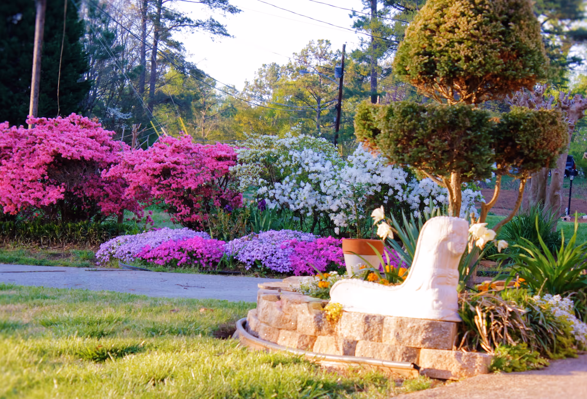 A landscaped garden area with vibrant pink, white, and purple flowering bushes, a neatly trimmed topiary tree, and a decorative white stone planter shaped like a boot on a stone retaining wall. The background shows tall trees and power lines under a clear sky.