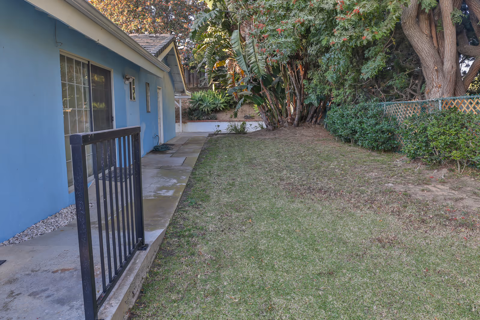 A side yard with a concrete walkway beside a blue single-story building, a grassy lawn, trees, and a fence.