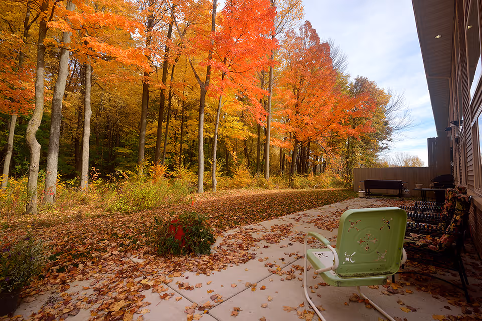 Outdoor patio area with fallen autumn leaves scattered on the ground, surrounded by trees with vibrant fall foliage in shades of orange, red, and yellow. The patio has a few chairs, including a green metal chair and cushioned chairs, next to the side of a building.