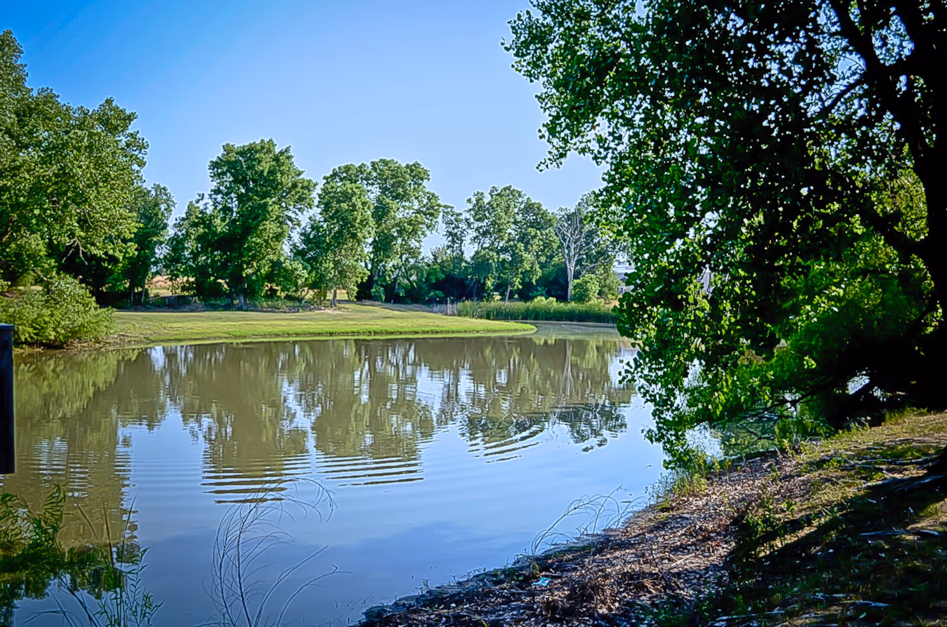 A calm pond surrounded by leafy trees with their reflections on the water under a clear blue sky.