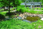 A peaceful outdoor garden area with a small pond surrounded by rocks and lush green plants. There are trees providing shade and a pergola structure with benches underneath in the background.