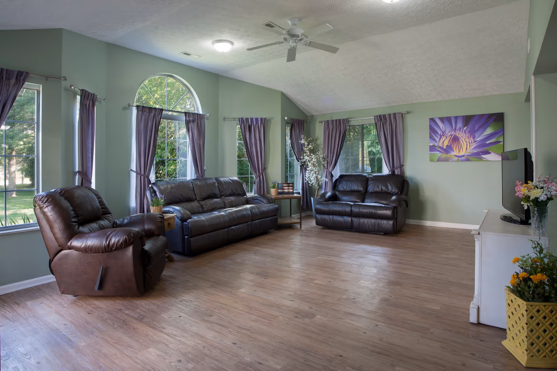 A spacious living room with light green walls and multiple large windows with purple curtains. The room features three dark brown leather recliners, a wooden side table with plants, a white TV stand with a flat-screen TV, and floral decorations. A ceiling fan is mounted on the white textured ceiling.