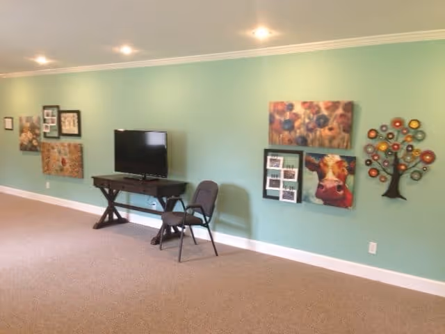 A room with light green walls decorated with various colorful paintings and a metal tree wall art. There is a small dark wooden table with a flat-screen TV on it and a single chair placed in front of the table. The floor is carpeted in a neutral color and the ceiling has recessed lighting.