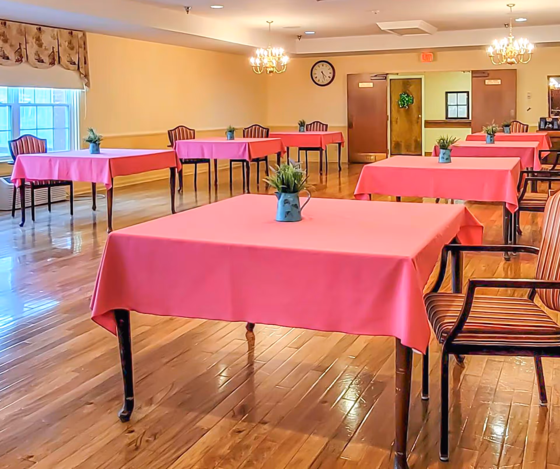 A dining room with several tables covered in pink tablecloths, each table decorated with a small plant centerpiece. The room has wooden floors, striped chairs, chandeliers, and a large window with curtains allowing natural light to enter.