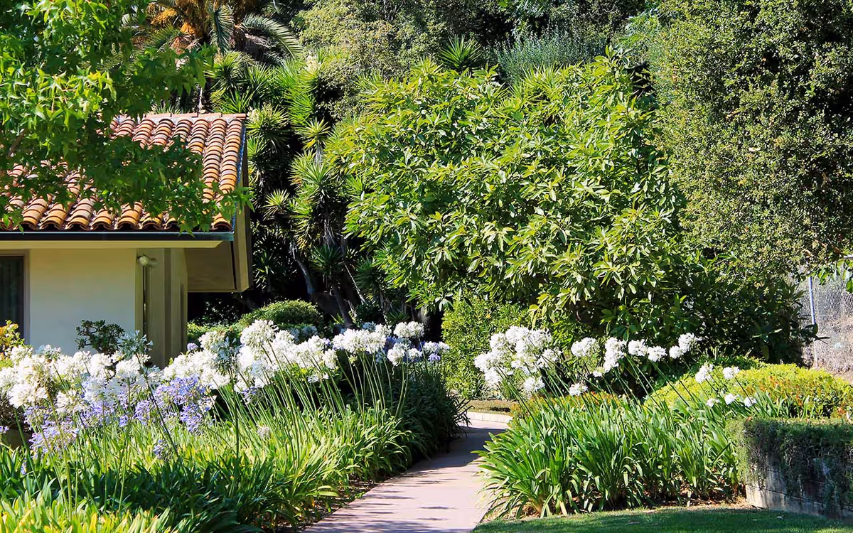 A garden pathway lined with green plants and white and purple flowers leading past a building with a tiled roof, surrounded by lush trees and shrubs.
