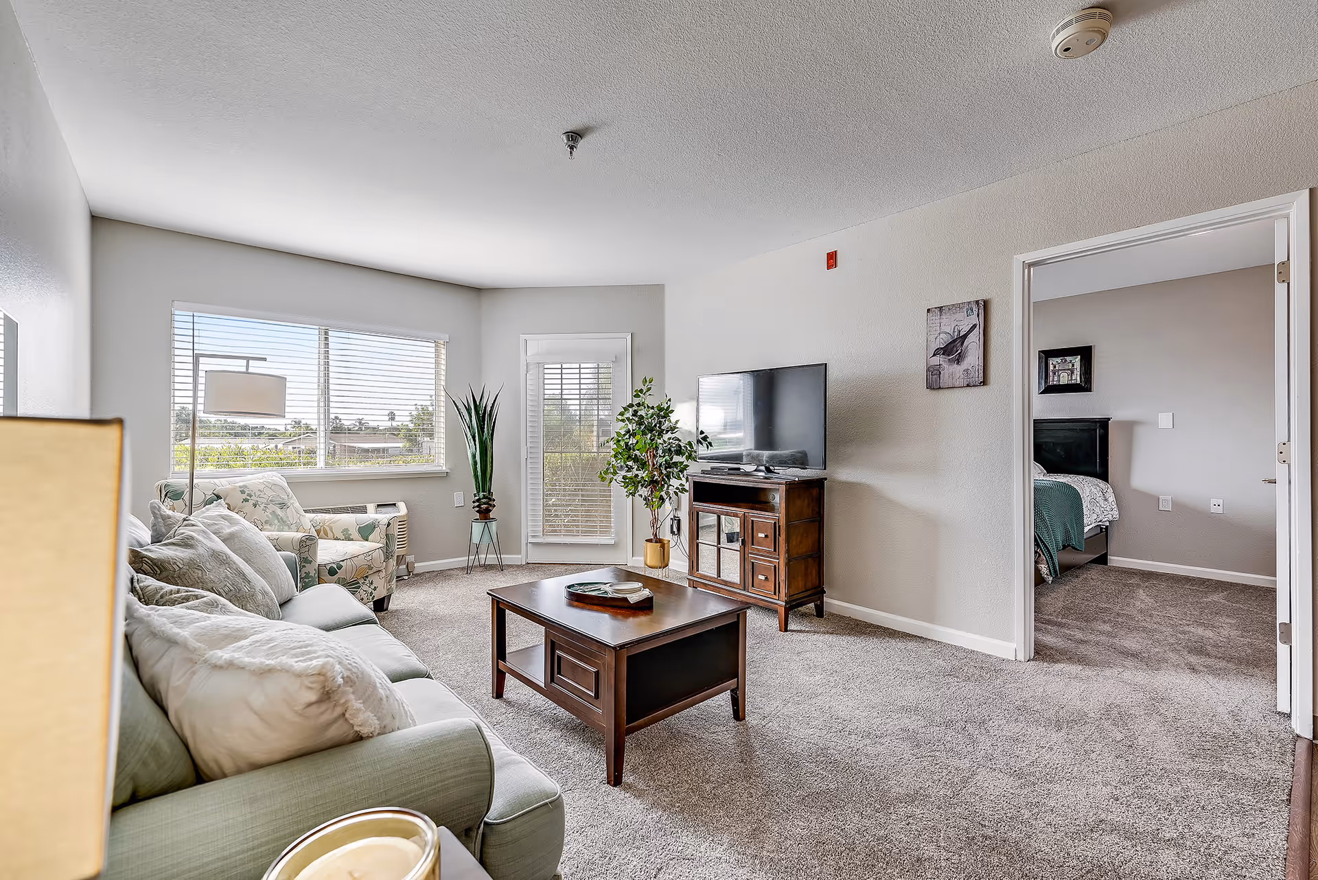 A bright living room in a senior living facility with a light green sofa adorned with white pillows, a floral armchair, a wooden coffee table, and a TV on a wooden stand. There are two potted plants near a large window and a glass door with blinds. The room has beige walls and carpeted floors, and an open doorway leads to a bedroom with a bed and framed pictures on the wall.
