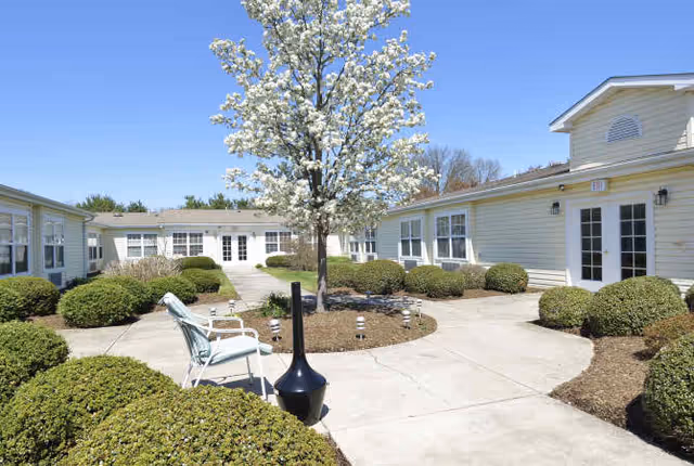 Outdoor courtyard area of a senior living facility with a blooming tree in the center, surrounded by trimmed bushes and paved walkways. There are white chairs and a black outdoor heater or decorative item near the tree. The buildings around the courtyard are light-colored with multiple windows and doors.