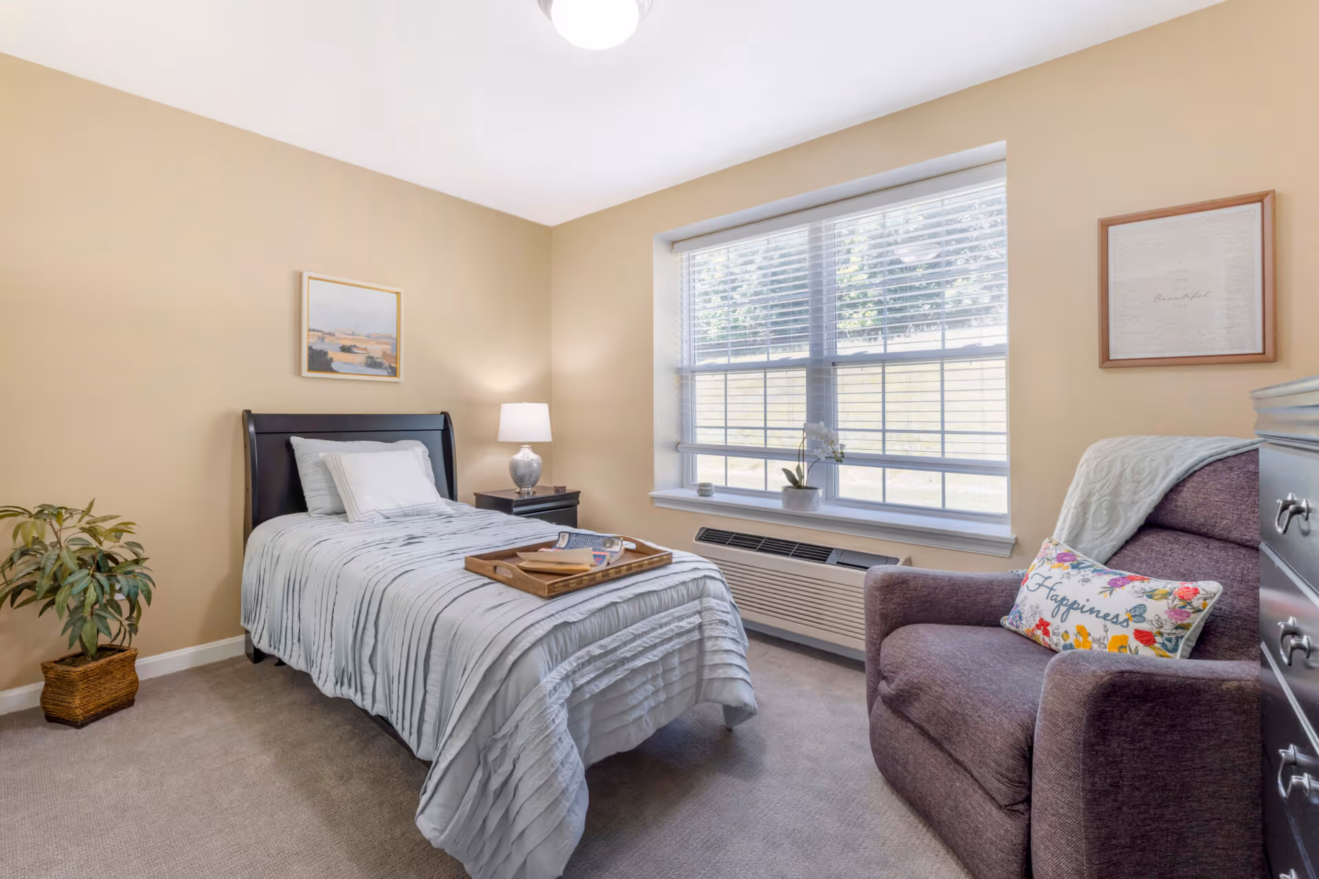 Sunlit furnished bedroom with a single bed, bedside table and lamp, armchair, and a large window.