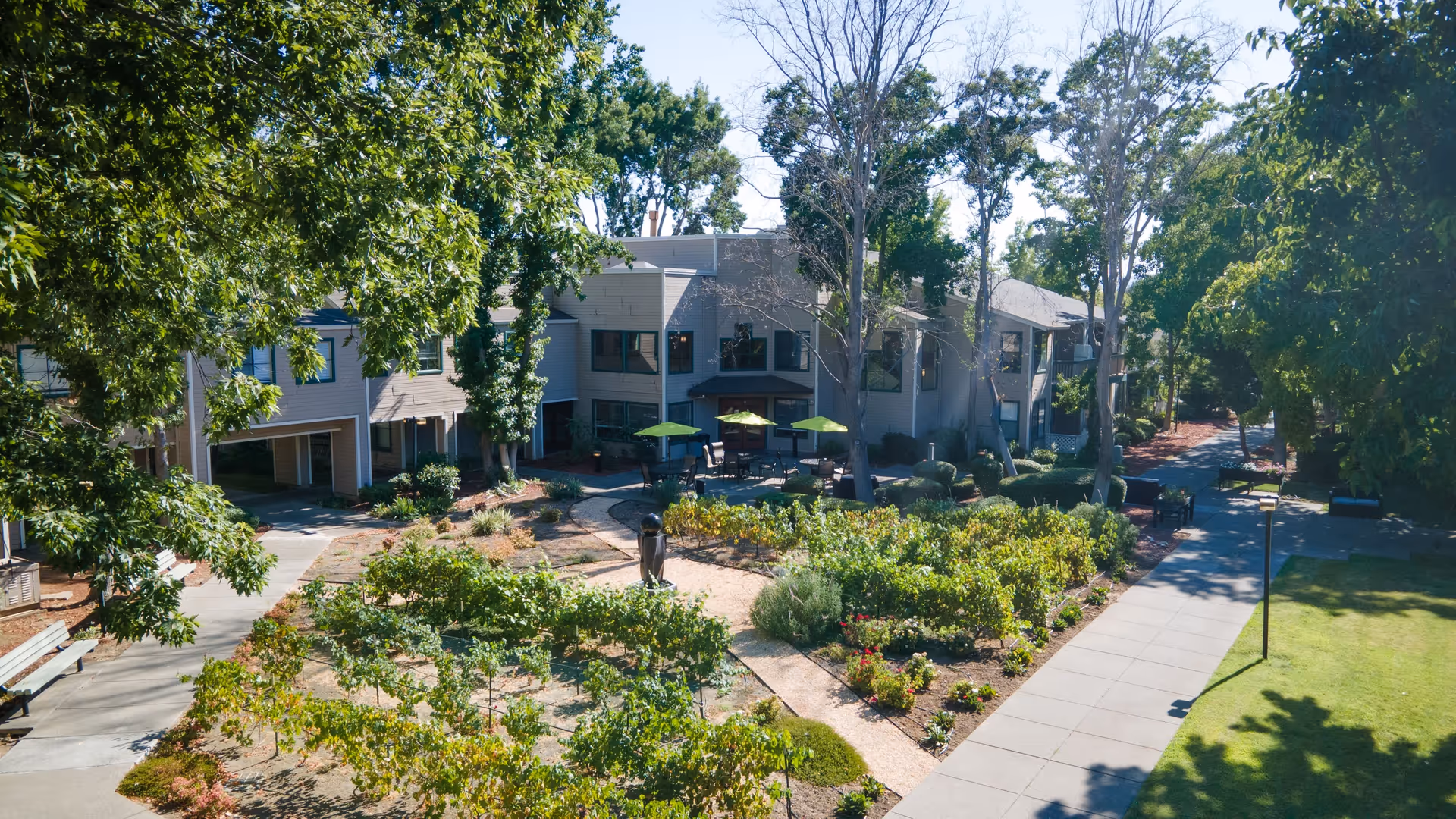 Outdoor garden area at Cogir of Vacaville with pathways, green plants, trees, and a two-story building in the background. There are benches and patio tables with green umbrellas in the courtyard.