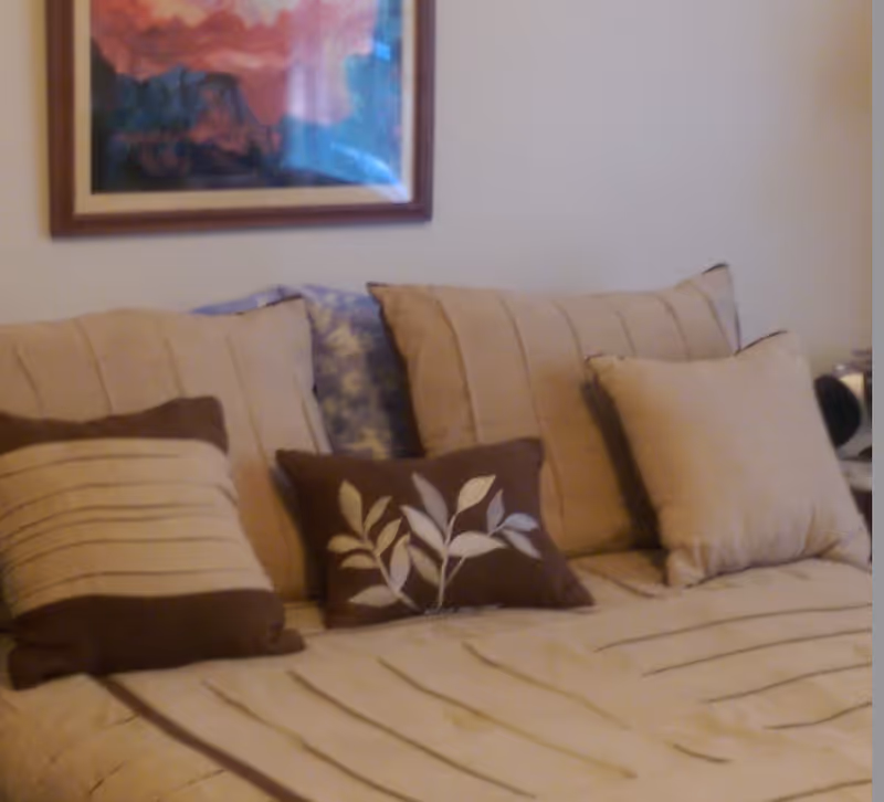 Beige bed with decorative pillows and a framed picture on the wall above it.