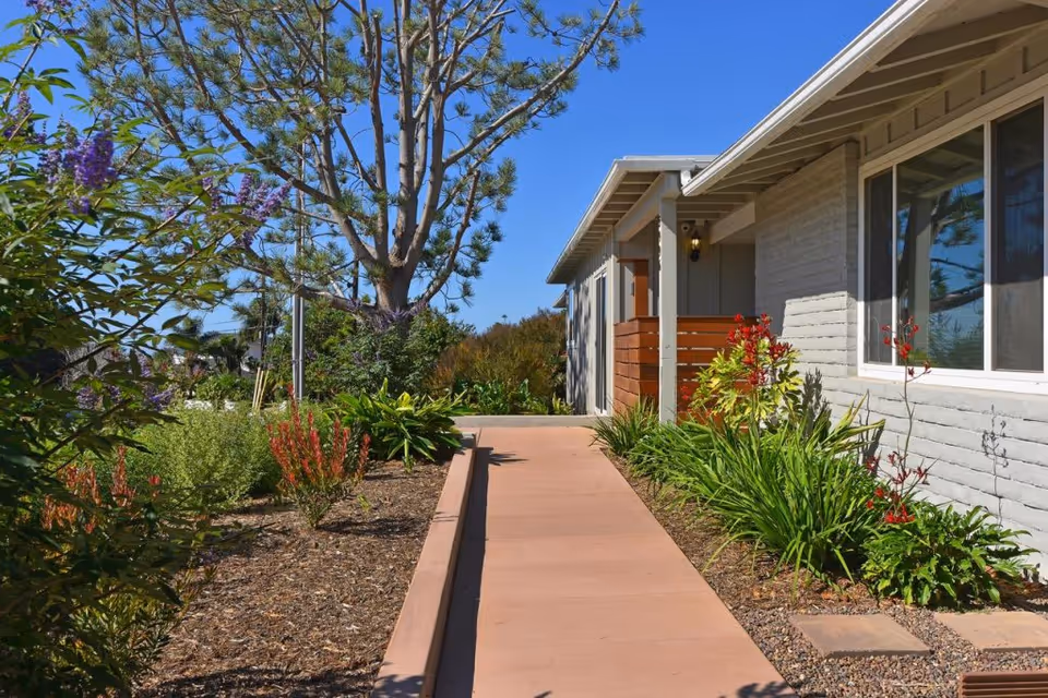 A sunny outdoor walkway beside a single-story building with light gray brick walls and large windows. The walkway is bordered by landscaped garden beds with various green plants and red flowers. A tall tree and clear blue sky are visible in the background.