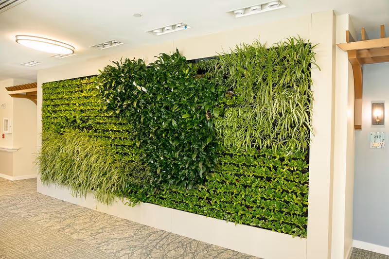 Indoor vertical garden wall with various green plants in a hallway of a senior living facility. The wall is framed in white and the hallway has light-colored walls and carpeted flooring with a subtle pattern. There is a room number sign and a wall light fixture visible on the right side.