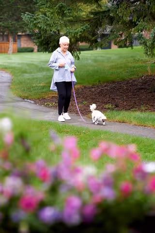 An elderly woman walking a small white dog on a leash along a paved path in a green outdoor area with trees and grass, with blurred pink and purple flowers in the foreground.