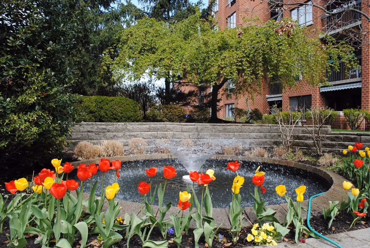 A circular water fountain surrounded by red and yellow tulips in a garden area with green bushes and a tree. In the background, there is a brick building with windows and balconies.