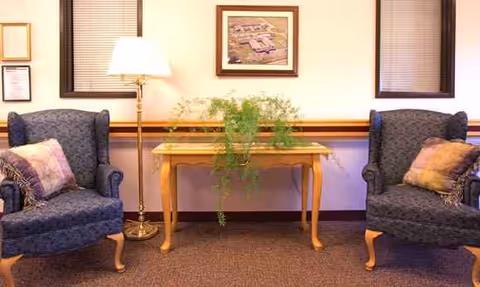 Two upholstered armchairs flank a wooden console table with a leafy plant centerpiece.
