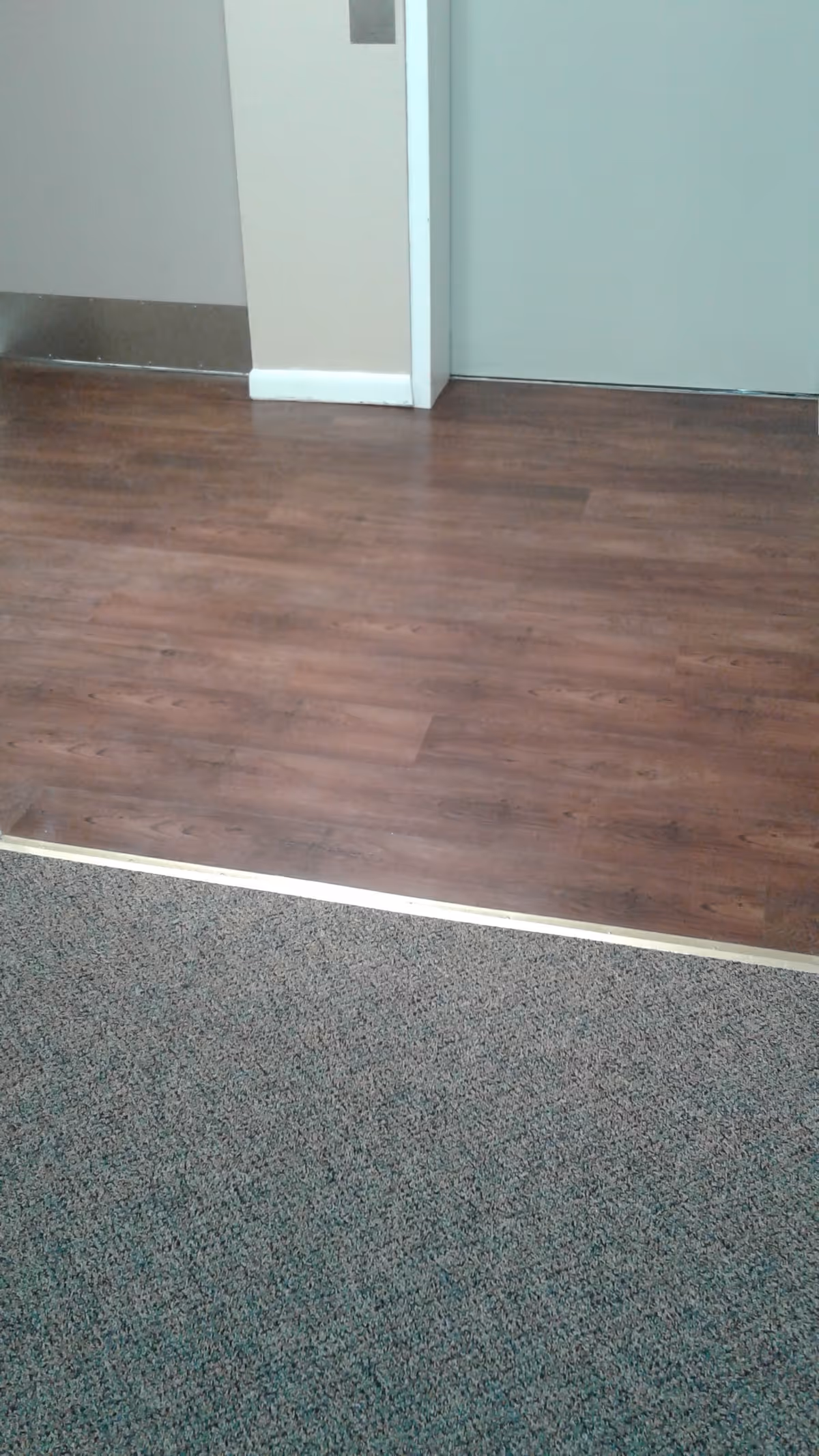 Close-up view of a floor transition between a carpeted area and a wood laminate floor in an indoor setting, with part of a wall and a closed door visible in the background.