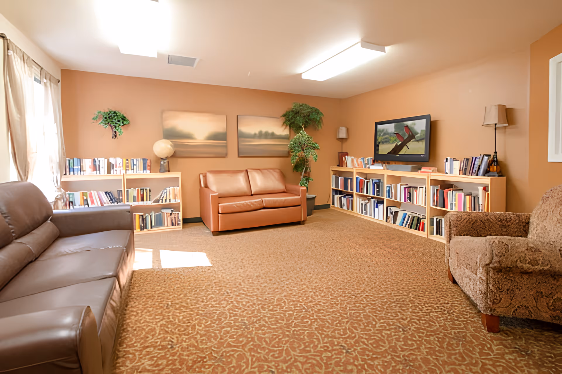 A cozy living room in a senior living facility with beige walls and carpet. The room features a brown leather sofa on the left, a smaller brown loveseat in the center, and a patterned armchair on the right. There are two landscape paintings on the wall above the loveseat, a tall potted plant next to it, and bookshelves filled with books along the back wall. A flat-screen TV mounted on the wall displays an image of two red birds on a branch. The room is softly lit by ceiling lights and natural light coming through a window with sheer curtains on the left.