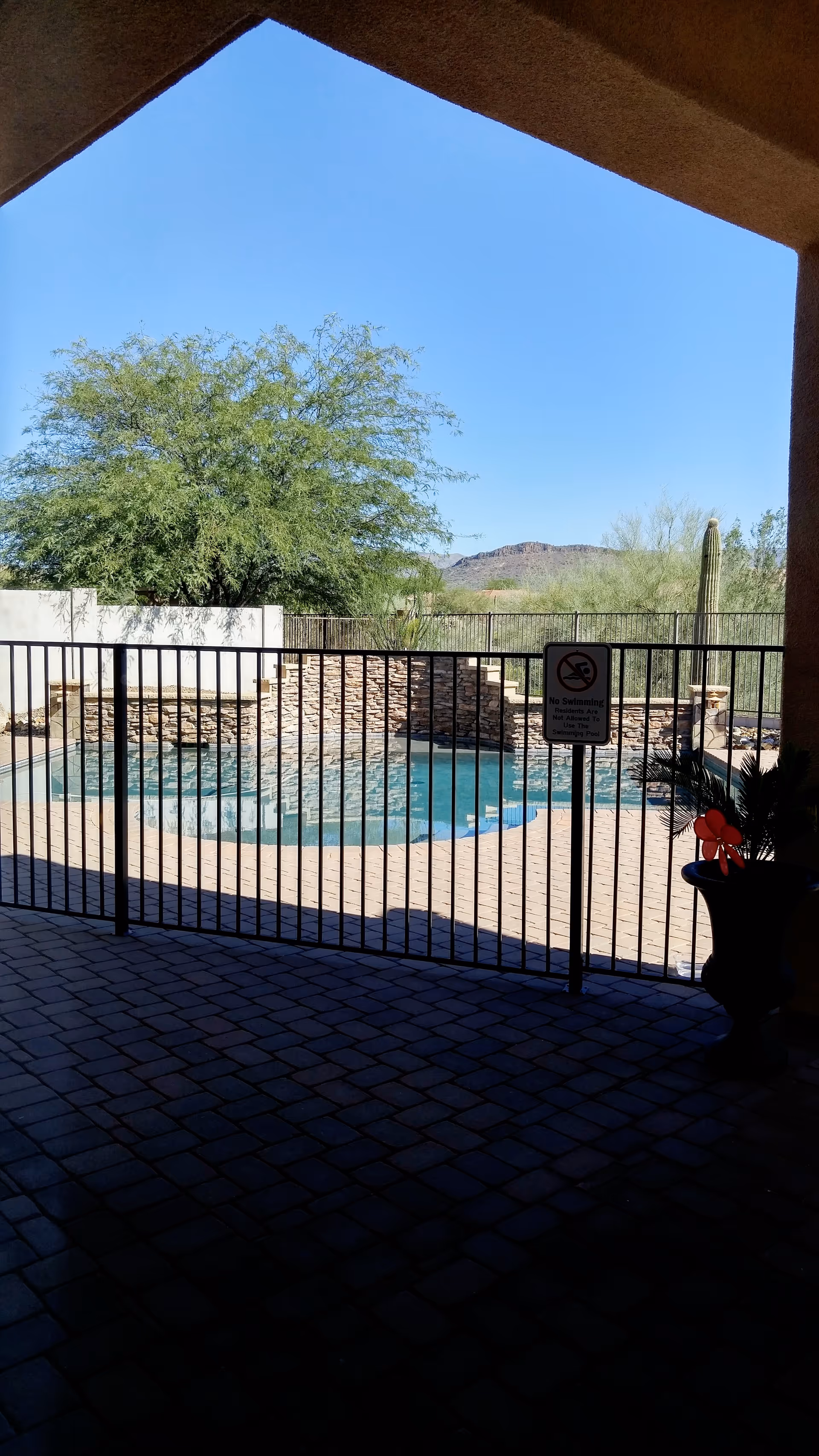 View of a fenced swimming pool with a stone waterfall feature, surrounded by desert landscaping including a large tree and cacti, seen from a shaded patio area with a tiled floor.