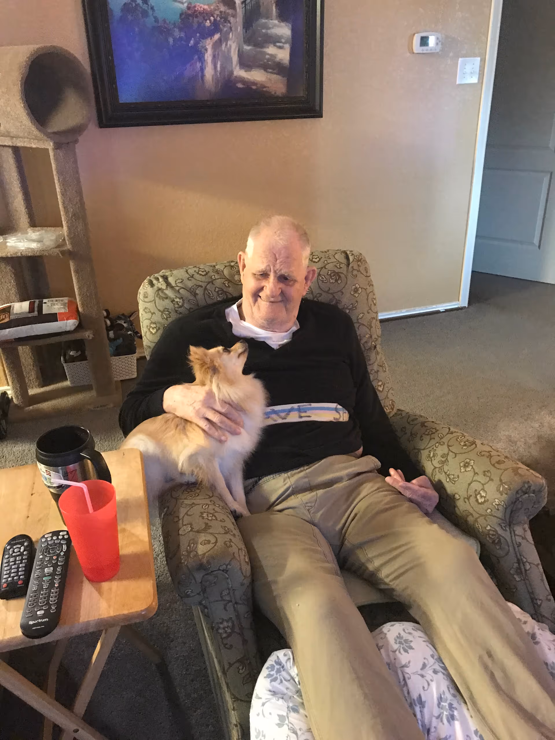 An elderly man sitting in a patterned armchair inside a living room, petting a small fluffy dog on his lap. Next to him is a wooden side table with two remote controls, a red plastic cup with a straw, and a travel mug. In the background, there is a cat tree, a framed painting on the wall, and a partially open door.