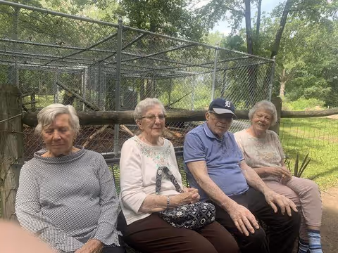 Four elderly individuals sitting on a bench outdoors near a fenced area with trees and greenery in the background. They appear to be enjoying a calm moment together in a natural setting.