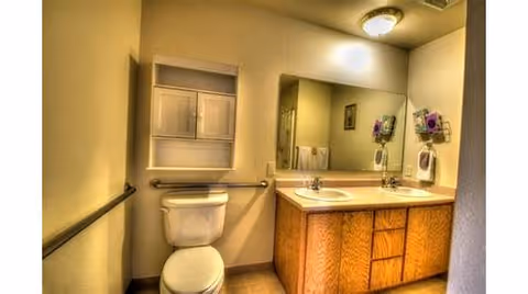 Small accessible bathroom with a toilet, wall grab bars, and a double-sink vanity under a large mirror.