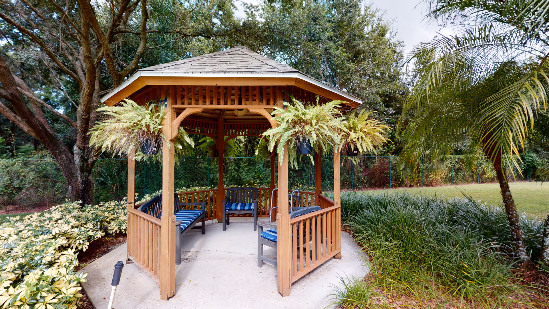 A wooden gazebo with a shingled roof situated in a garden area. The gazebo has hanging ferns on its corners and contains several benches with blue cushions inside. Surrounding the gazebo are various green plants, trees, and a grassy lawn.