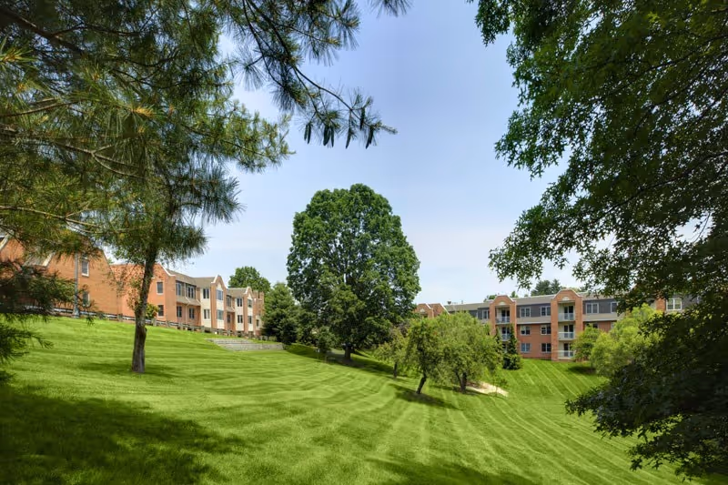 A large, well-maintained grassy lawn with several mature trees and a clear blue sky. In the background, there are multi-story brick buildings with balconies, likely part of a senior living facility. The scene is framed by tree branches on the left and right sides.