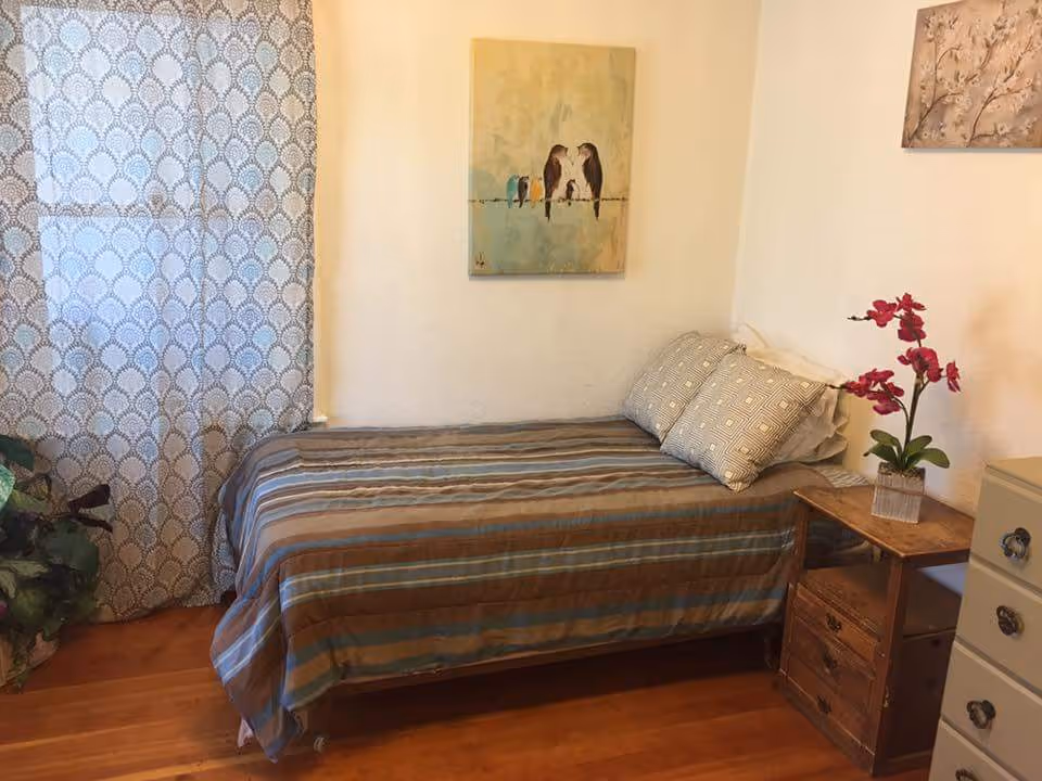 Small bedroom with a single bed against a wall, patterned curtains, a nightstand with a pink orchid, and bird artwork above the bed.