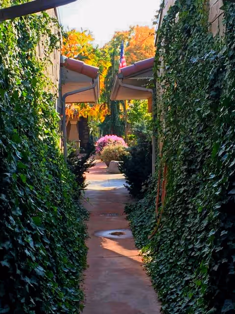 A narrow outdoor walkway between two buildings covered with dense green ivy on both sides, leading to a garden area with colorful flowers and an American flag in the background under a clear sky.
