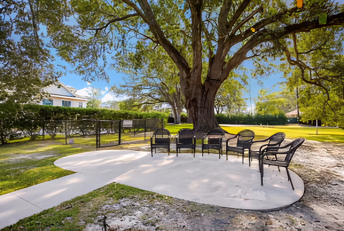 Outdoor seating area with several black metal chairs arranged on a concrete patio under a large tree with sprawling branches. The area is surrounded by green grass, bushes, and other trees under a clear blue sky.