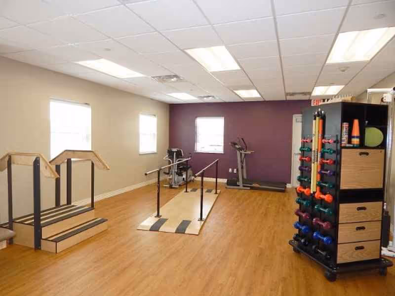 A therapy and exercise room with wooden flooring, featuring parallel bars for walking practice, a treadmill, exercise equipment, and a rack holding colorful dumbbells and cones. The walls are beige and purple, and the room is lit by ceiling lights and natural light from windows.