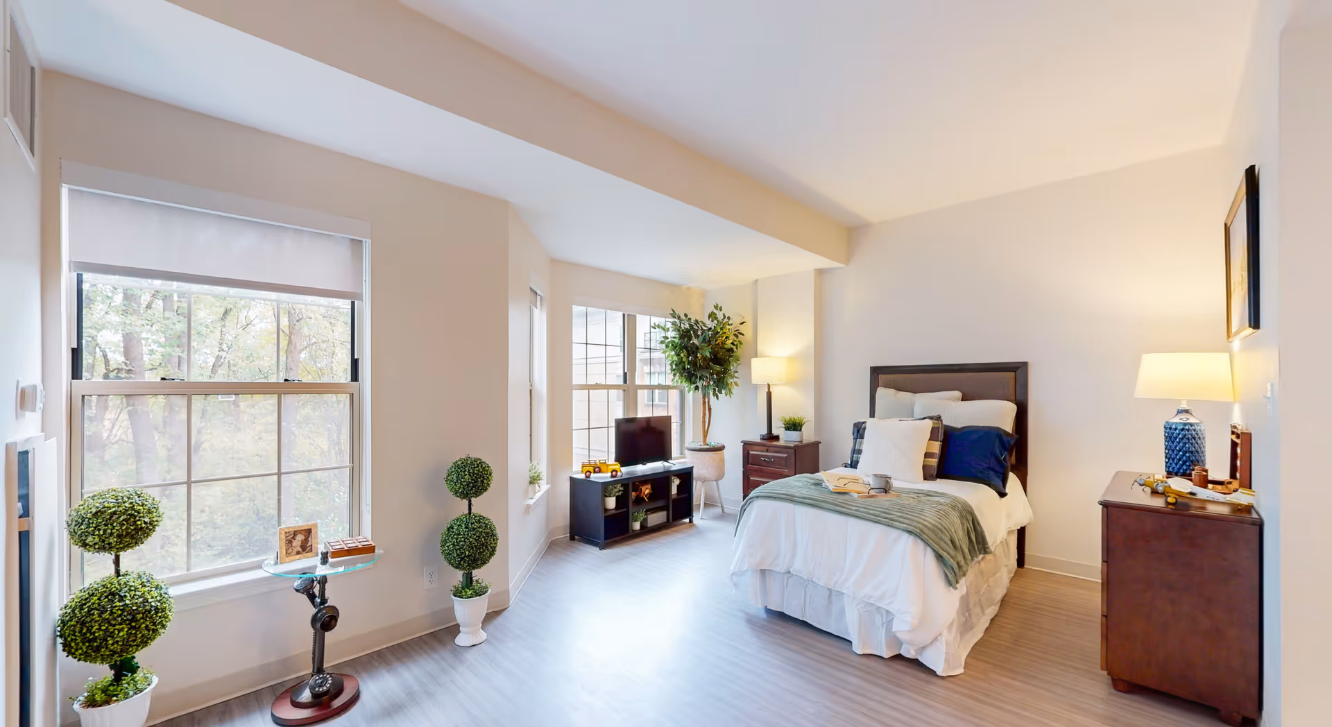 Bright furnished bedroom with a single bed, nightstands, a TV stand, large windows, and potted plants.